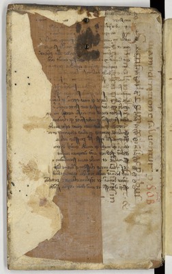 Latin14963_contregardesup