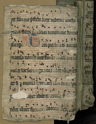 H_102_12_Bd_29_hinten