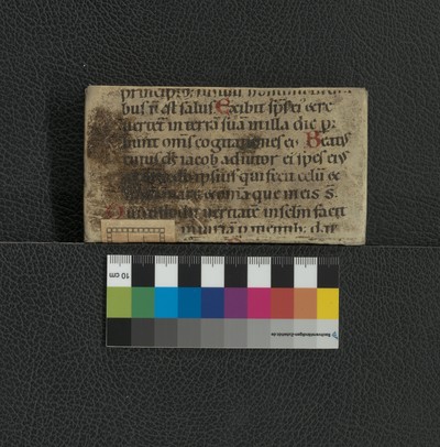 W_3_624_hinten
