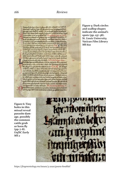 Fragmentology_3_Page_169