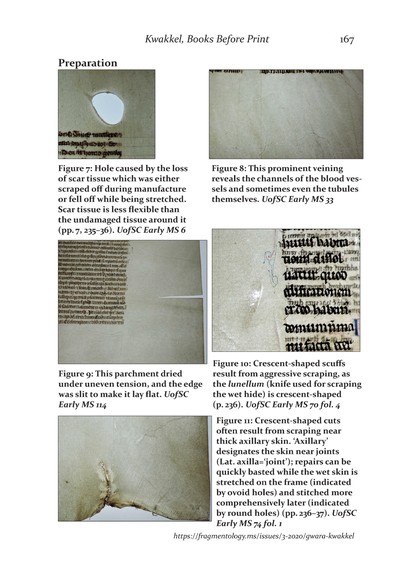 Fragmentology_3_Page_170