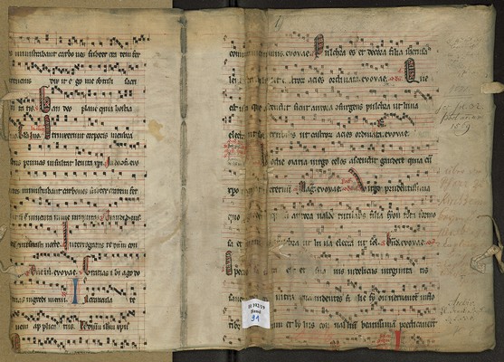 H_102_19_Bd_91_Iv_IIr