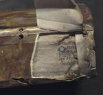 Top view showing one spine lining