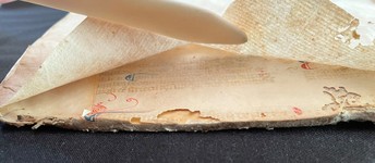 Piatto anteriore_lato interno_taglio inferiore