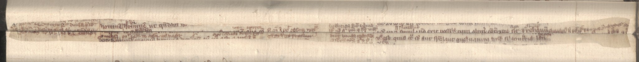 Cod3665_Falz_21_22_m