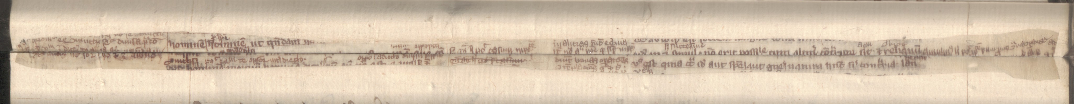 Cod3665_Falz_21_22_m