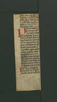 StAL_B_138_a_Bue_42_recto