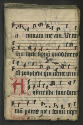 A_303_Bd_7228_recto_links