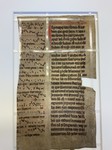 MS_1600_NW_SF_2_1