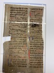 MS_1600_NW_SF_2_3