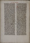 BAR_Cod_Lat_16_f_00006v