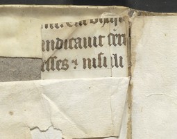 Detail of the back endleaf guard