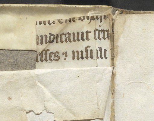 Detail of the back endleaf guard