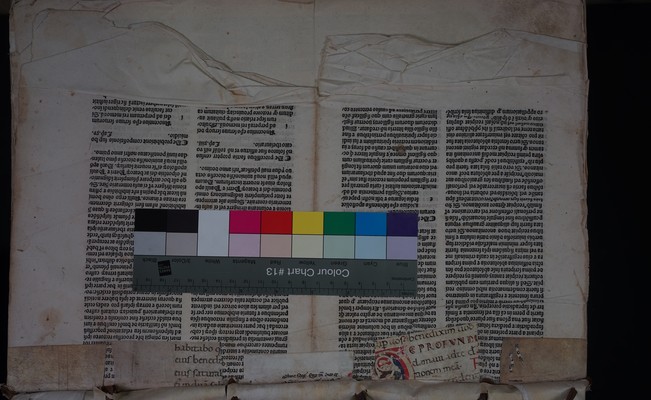 spine strips (front side)