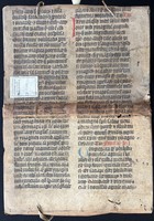 U_56695