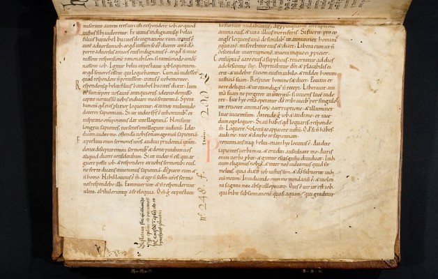 UBU_202_fr_D_1r_lower_part_