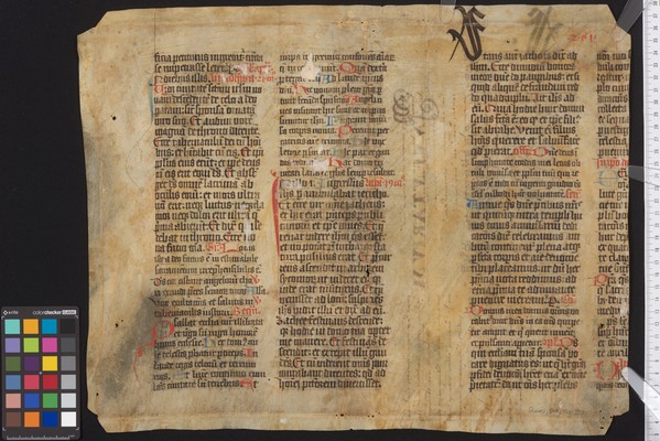 Stams_STA_Frg_220_01v