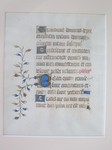 McBride_collection_HL_45_2_Penitential_Psalms_verso_J