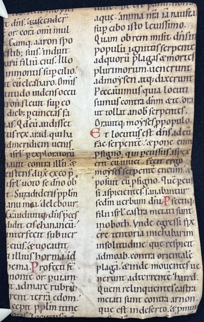 Fragm_Cod_Lat_36_recto