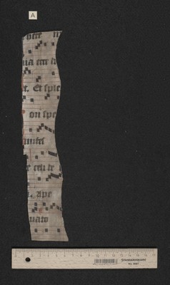 Fragm. 83 a, fol. [1]r