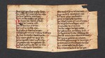 Hauptblatt_Iv_IIr