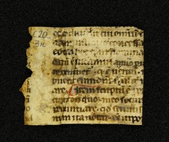 Innsbruck_ULBT_Frg_C20_03_r