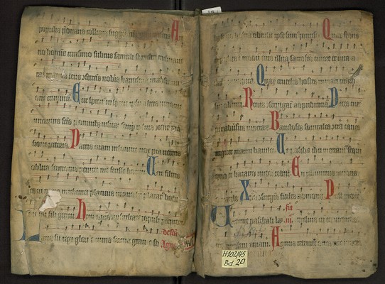 H_102_45_Bd_20_hinten_vorne