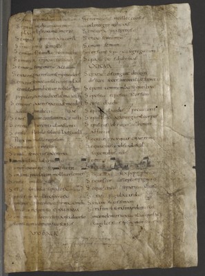 recto