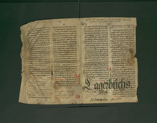 StAL_PL_18_Bue_293_IIv_Ir