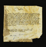 Innsbruck_ULBT_Frg_082_r