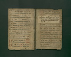 StAL_B_113_Bue_969_Iv_IIr