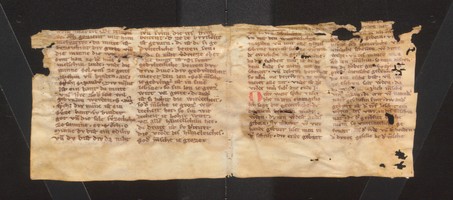 Wilhelmsstift_KH_5184_IIv_Ir
