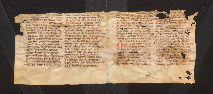 Wilhelmsstift_KH_5184_IIv_Ir