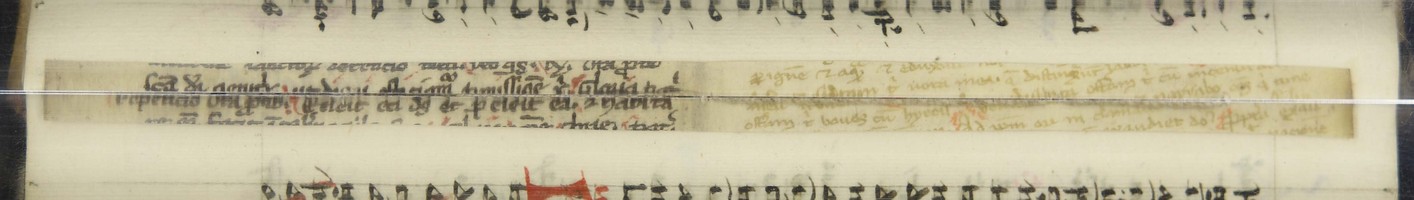 Cod3600_Falz_18_19_m