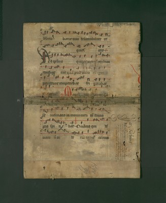 StAL_B_113_Bue_1316_A_Iv_IIr_B