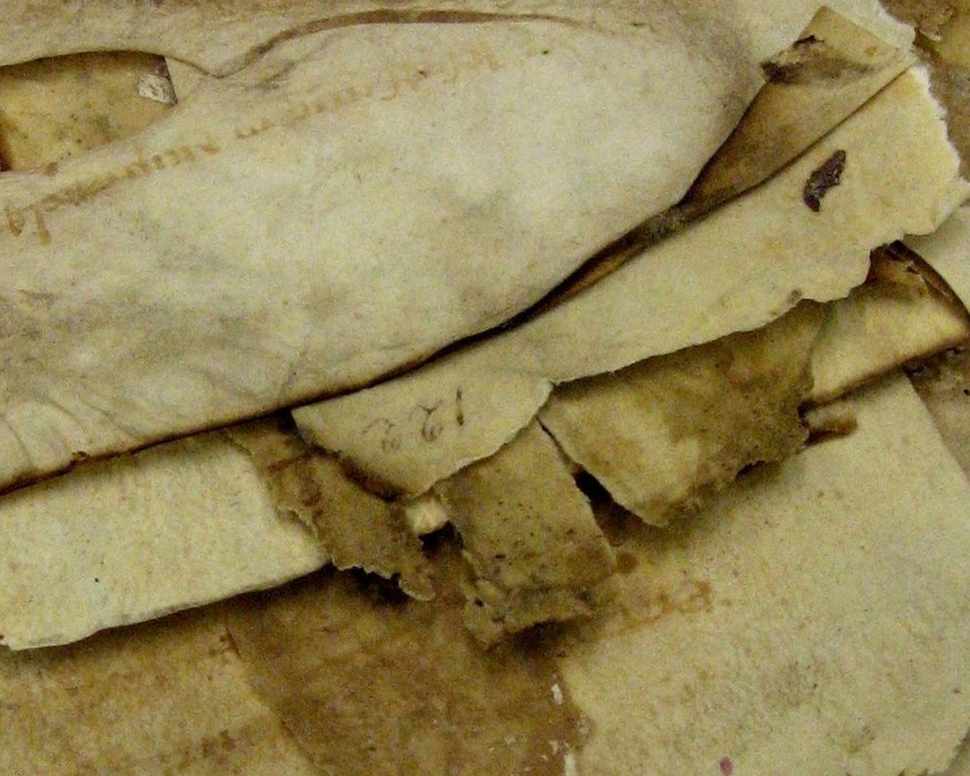 Detail of Chartres, Bibliothèque Municipale, MS 13, Photo by Claudia Rabel. This has very little to do with the AN fragmetns, but we lack a good photo of a trove of fragments, so I recycled this one.