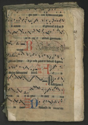 A_236_Bd_476_Ir_rechts