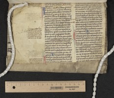 lower pastedown recto 