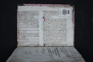 Contregarde supérieure