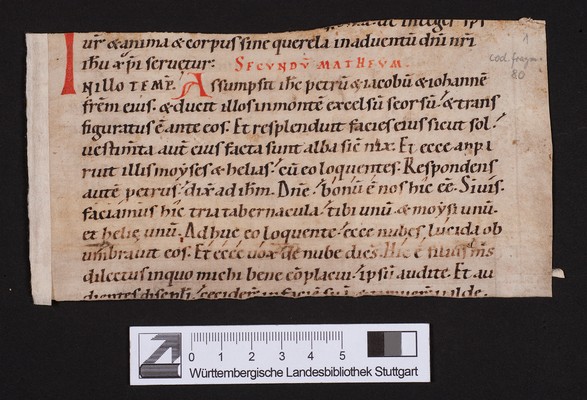 WLB_Cod_fragm_80a_II_r