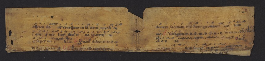 WLB_Cod_fragm_142_I_r_II_v