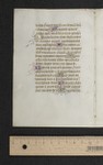 fol. 82v