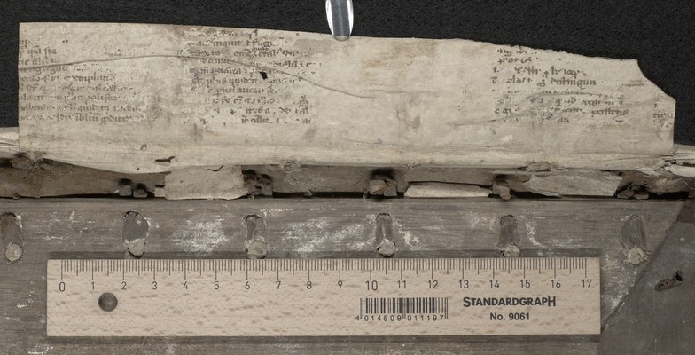 quire guard back verso