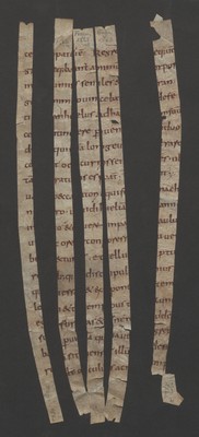 Fragm1562_3_bis_1562_7_recto