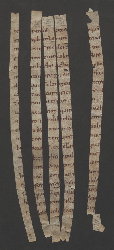 Fragm1562_3_bis_1562_7_recto