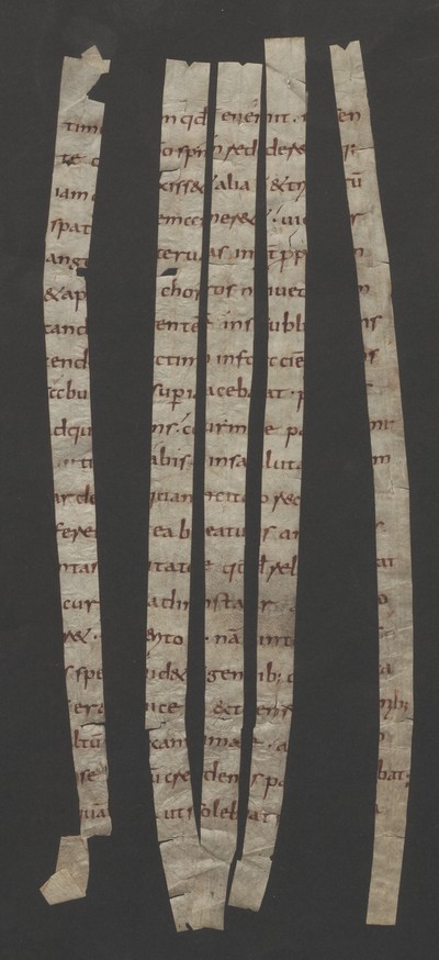 Fragm1562_3_bis_1562_7_verso