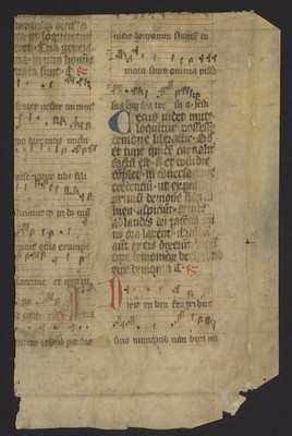 WLB_Cod_fragm_135_recto