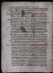 BAR_Cod_Lat_13_f_00002v