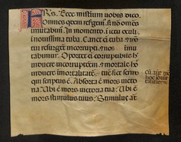 Arch. Cap. cart 245, fasc. 1 hair side