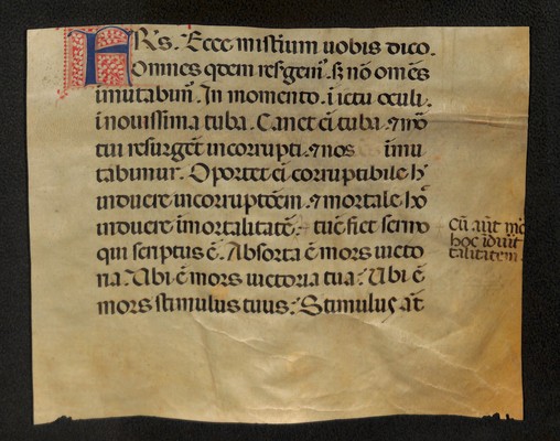 Arch. Cap. cart 245, fasc. 1 hair side